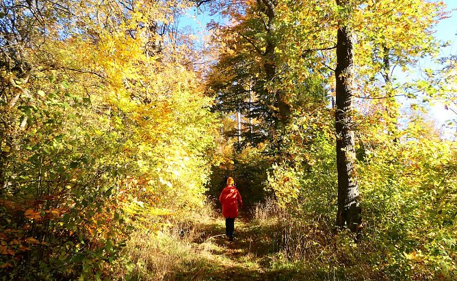 Herbst im S&uuml;dharz (Foto: A.Apel)
