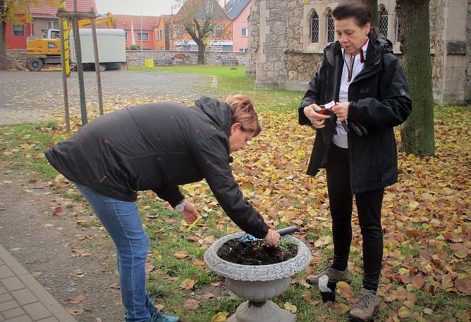 Christina Zyrus und Katrin Sch&ouml;nemann stecken auf dem Kirchplatz Fr&uuml;hbl&uuml;her (Foto: Marco Feller)