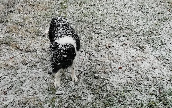 Die ersten Zeitgenossen haben schon sichtlich Spa&szlig; am Schnee (Foto: W.J&ouml;rgens)