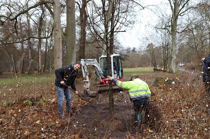 Neupflanzungen im Stadtpark (Foto: Stadtverwaltung Nordhausen) Neupflanzungen im Stadtpark (Foto: Stadtverwaltung Nordhausen)