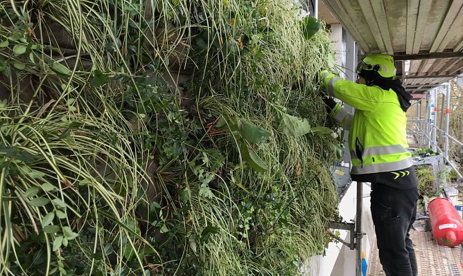 Anbringen der gr&uuml;nen Fassadenteile (Foto: LA21)