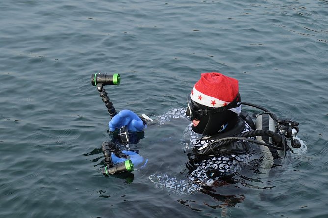 Rund 20 "Hartgesottene" gingen gestern mit dem Baum auf Tauchstation (Foto: agl) Rund 20 "Hartgesottene" gingen gestern mit dem Baum auf Tauchstation (Foto: agl)