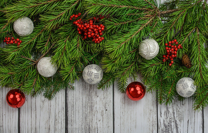 Weihnachtsgrüße (Foto: ThINKA) Weihnachtsgrüße (Foto: ThINKA)