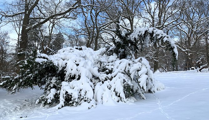 Weiße Weihnachten? (Foto: nnz-Archiv) Weiße Weihnachten? (Foto: nnz-Archiv)