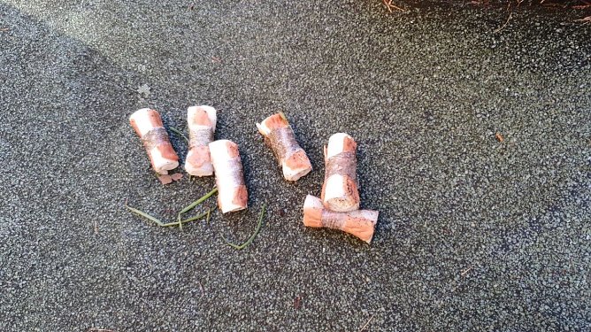 Hundek&ouml;der in der Jahnstra&szlig;e entdeckt (Foto: privat)