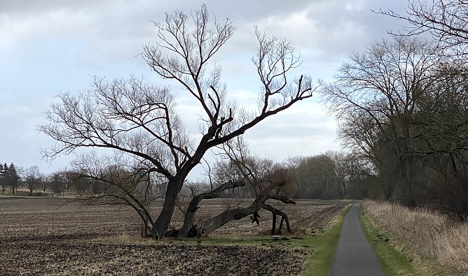 Das st&uuml;rmische Wetter setzt sich fort (Foto: oas)