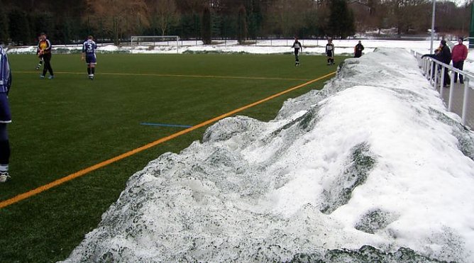 Wacker (Foto: K. Verkouter) Wacker (Foto: K. Verkouter)