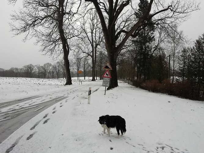 In den Hochlagen bleibt es auch heute ungem&uuml;tlich  (Foto: W. J&ouml;rgens)