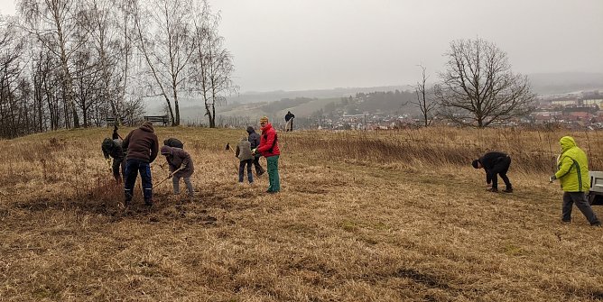 Arbeitseinsatz auf dem M&uuml;hlberg (Foto: LPV)