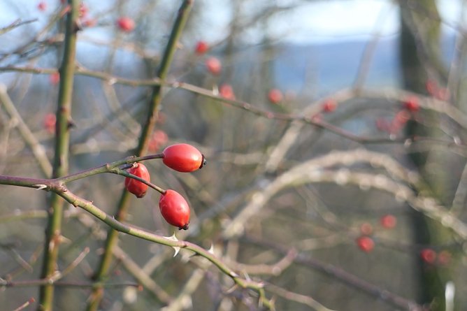 Wetterbild (Foto: agl) Wetterbild (Foto: agl)