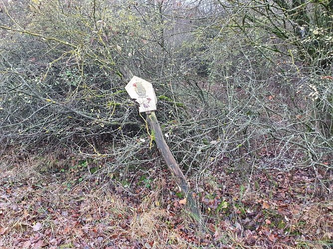 Dieser umgest&uuml;rzte Pfahl mit einem NSG-Schild ist exemplarisch f&uuml;r die jahrelange Ausschilderungssituation im Landkreis Nordhausen. Es befindet sich im Naturschutzgebiet R&uuml;digsdorfer Schweiz. (Foto: Bodo Schwarzberg)
