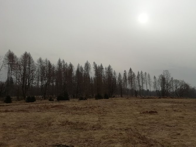 In Sophienhof verschwand die Sonne heute morgen noch hinter einem Wolkenschleier (Foto: W. J&ouml;rgens)