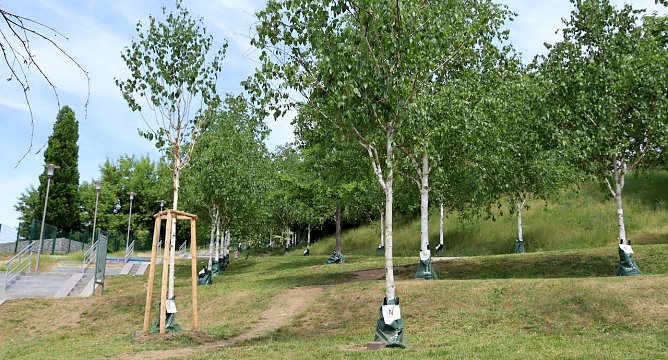 Knapp 100 Gie&szlig;s&auml;cke wurden installiert (Foto: Stadtverwaltung Nordhausen )