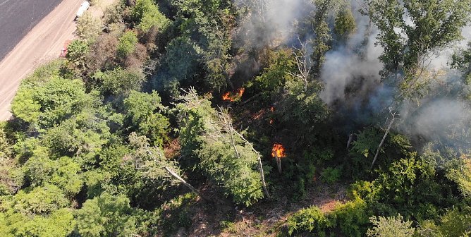 Waldbrand bei Wernrode (Foto: S.Dietzel)