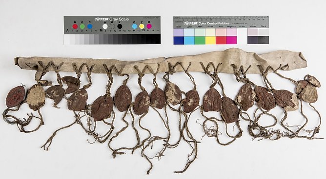 Siegel im Stadtarchiv (Foto: Stadtverwaltung Nordhausen) Siegel im Stadtarchiv (Foto: Stadtverwaltung Nordhausen)