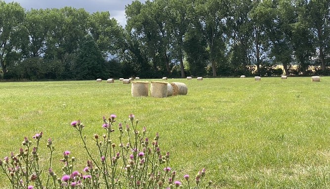 Bei Bad Langensalza (Foto: oas) Bei Bad Langensalza (Foto: oas)