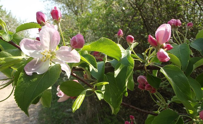 Fotowettbewerb zum Gipskarst (Foto: S.Staubitz)