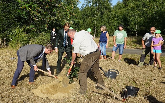 MP Bodo Ramelow (re.), Marc Fielmann (FIELMANN AG) und Volker Gebhardt (Th&uuml;ringenForst-A&ouml;R) bei der Pflanzung einer Stieleiche im Dreil&auml;ndereck Th&uuml;ringen, Niedersachsen und Sachsen-Anhalt (Foto: Katharina Reffelt)