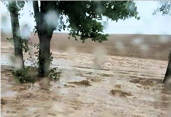 Starke Regenfälle gab es gestern auch in Nordhausen (Foto: privat) Starke Regenfälle gab es gestern auch in Nordhausen (Foto: privat)