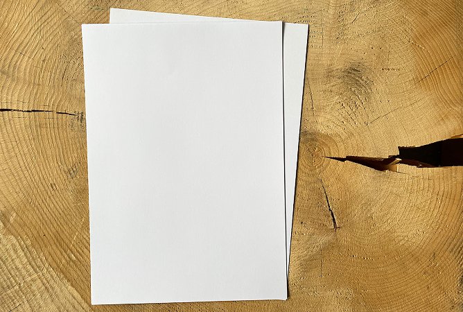 Ohne Holz kein Papier. Die Zellulose, neben Lignin wichtigster Bestandteil von Holz, ist Ausgangspunkt der Papierproduktion.  (Foto: Th&uuml;ringenForst)