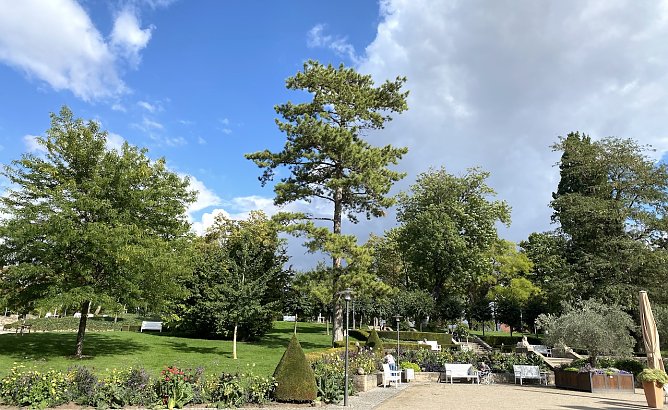 Schlösschenpark Bad Langensalza (Foto: oas) Schlösschenpark Bad Langensalza (Foto: oas)