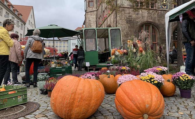 Zwiebel- und Kürbismarkt vor dem Rathaus (Foto: Stadtverwaltung Nordhausen) Zwiebel- und Kürbismarkt vor dem Rathaus (Foto: Stadtverwaltung Nordhausen)