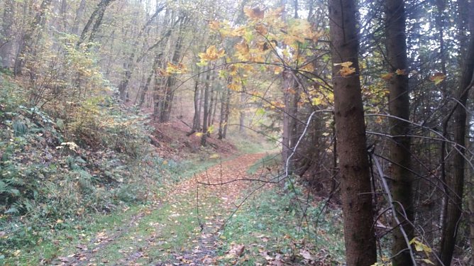 Sprechstunde bei Dr. Wald (Foto: Doris Berberich) Sprechstunde bei Dr. Wald (Foto: Doris Berberich)