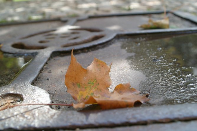 Wetterbild (Foto: WirSinds) Wetterbild (Foto: WirSinds)