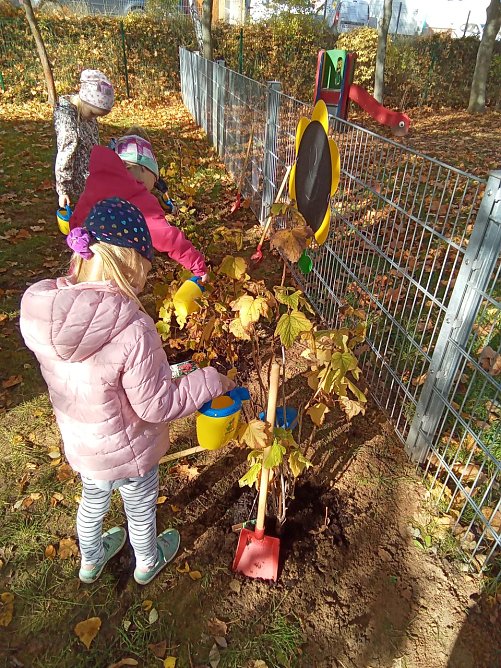 Am Haus Kunterbunt w&auml;chst jetzt eine "Naschhecke" (Foto: privat)
