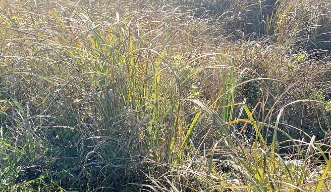 Wechselhaftes Herbstwetter h&auml;lt an (Foto: oas)