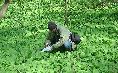 Landschaft "zum Verlieben" (Foto: pln)