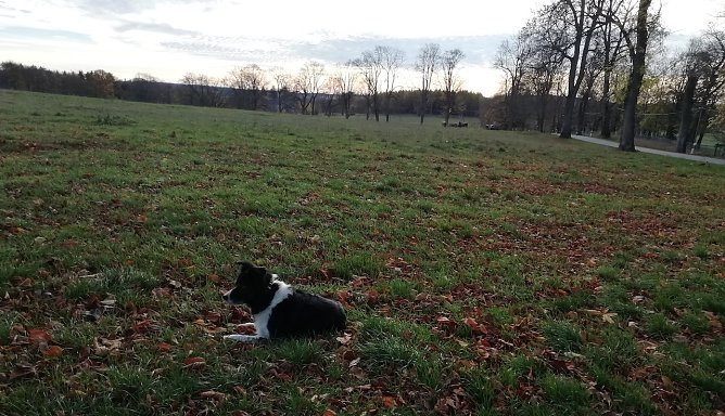 Sophienhof im Harz meldet heute Morgen 10 Grad und bestes Wanderwetter (Foto: W.J&ouml;rgens)