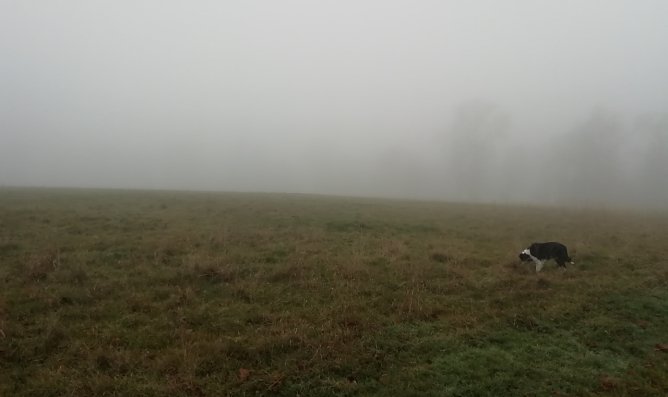Im Harz ist heute nicht allzu viel zu sehen (hier: Sophienhof) (Foto: W. J&ouml;rgens)