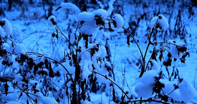 Eisige Kälte im Brandesbachtal (Foto: P.Blei) Eisige Kälte im Brandesbachtal (Foto: P.Blei)