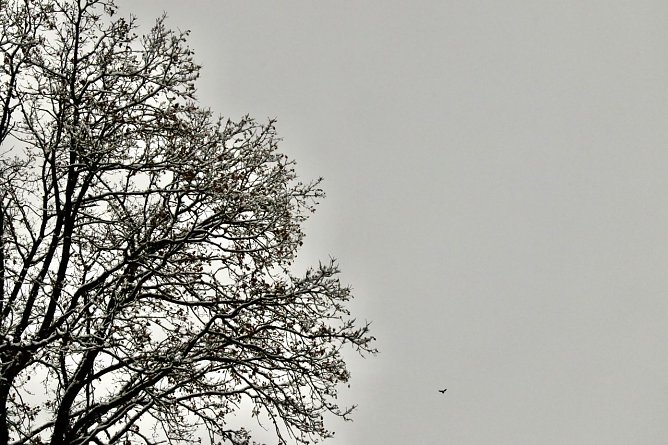 Wetterbild (Foto: agl) Wetterbild (Foto: agl)