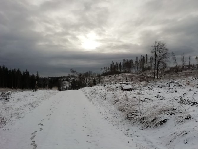 Schneebedeckt und wolkenverhangen zeigt sich der Harz bei Sophienhof (Foto: W. J&ouml;rgens)