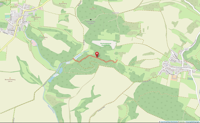 Wegeabschnitt im Junkerholz (Foto: LPV)