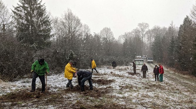 Einsatz bei Ellrich (Foto: LPV)