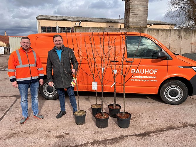 F&uuml;nf B&auml;ume f&uuml;r den Bauhof (Foto: Andreas Liesegang)