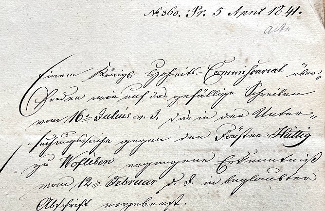 Auszug aus dem Brief des Försters Hüttig (Foto: T.Schäfer) Auszug aus dem Brief des Försters Hüttig (Foto: T.Schäfer)