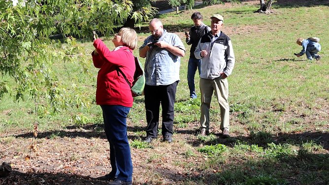 Natur entdecken mit dem Smartphone (Foto: S.Staubitz) Natur entdecken mit dem Smartphone (Foto: S.Staubitz)