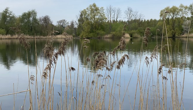 Am Mittelpunkt Deutschlands bei Niederdorla (Foto: oas) Am Mittelpunkt Deutschlands bei Niederdorla (Foto: oas)