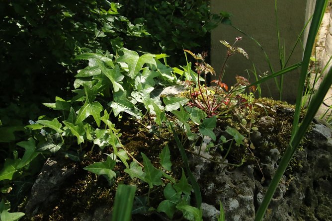 Wetterbild (Foto: agl) Wetterbild (Foto: agl)