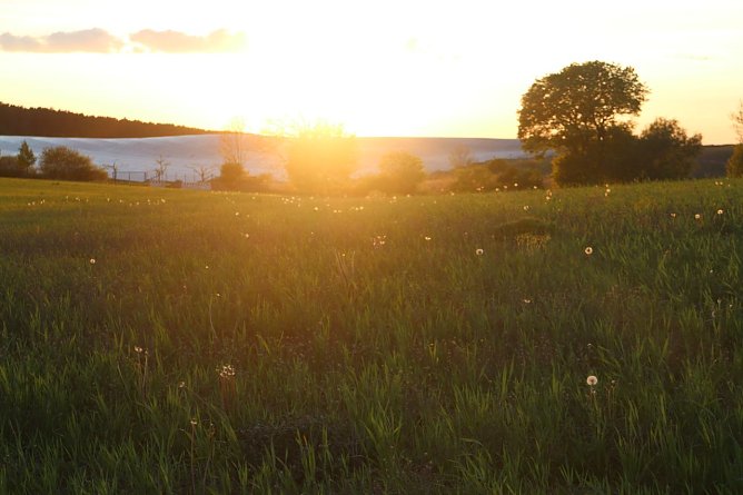 Wetterbild (Foto: agl) Wetterbild (Foto: agl)