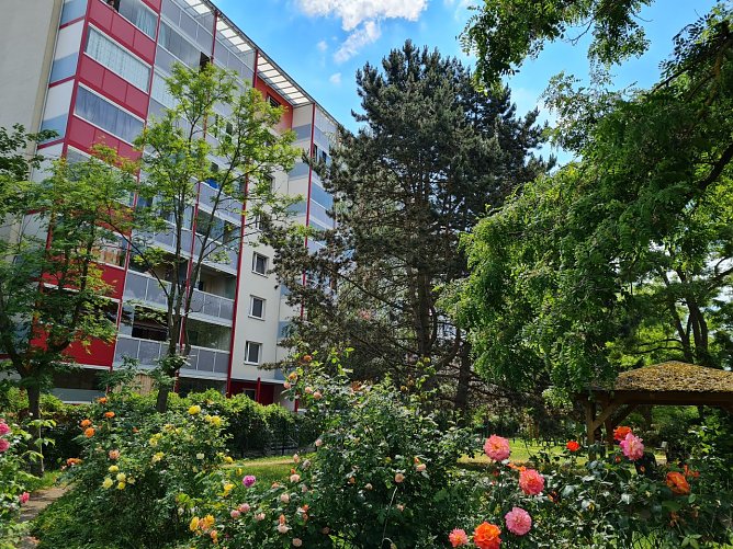 Blick auf den Wohnblock Zuckerweg 3/3a: Mit 189 Wohnungen ist er der gr&ouml;&szlig;te Wohnblock der SWG in Nordhausen. (Foto: SWG/Susanne Schedwill)