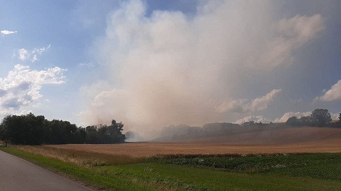 Feldbrand bei Klettenberg (Foto: Feuerwehr Liebenrode/Silvio Dietzel)