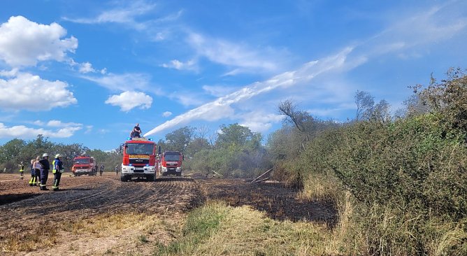 Brand in der Goldenen Aue (Foto: Die am Einsatz beteiligten Feuerwehren)