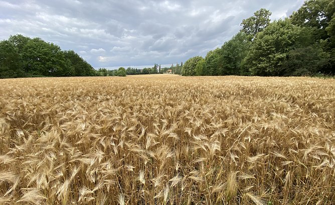 Der Sommer pausiert leider weiter (Foto: oas) Der Sommer pausiert leider weiter (Foto: oas)