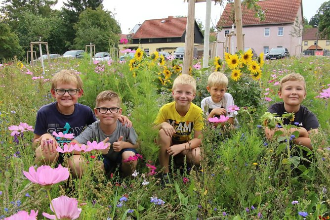 Die frisch gebackenen Viertkl&auml;ssler der Grundschule Niedersalza inmitten "ihrer" Wiese (Foto: agl)