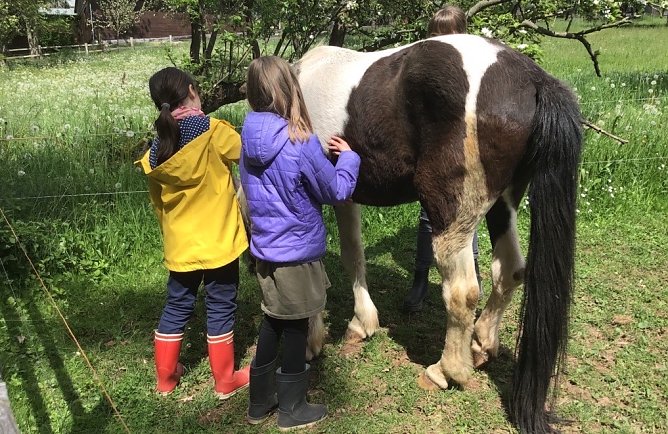 Herbstferiencamp in Harzrigi mit kleinen Hexen und viel Spa&szlig; (Foto: T.Hesse)